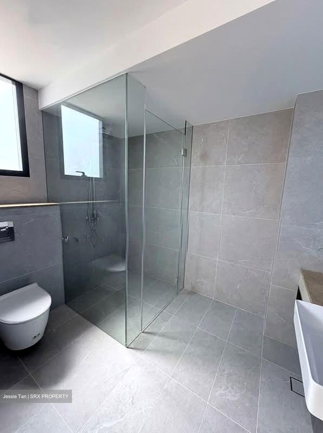 Seletar Hills Estate (D28), Terrace #605094641
